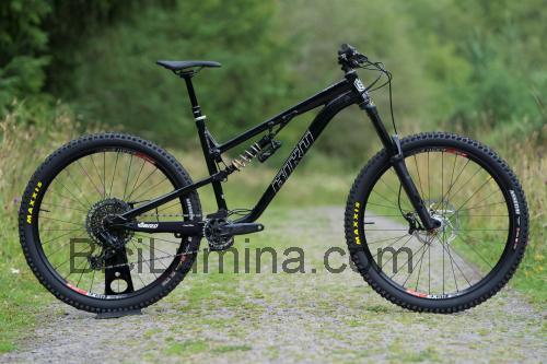 Bird Aeris AM9 opinión y ficha técnica